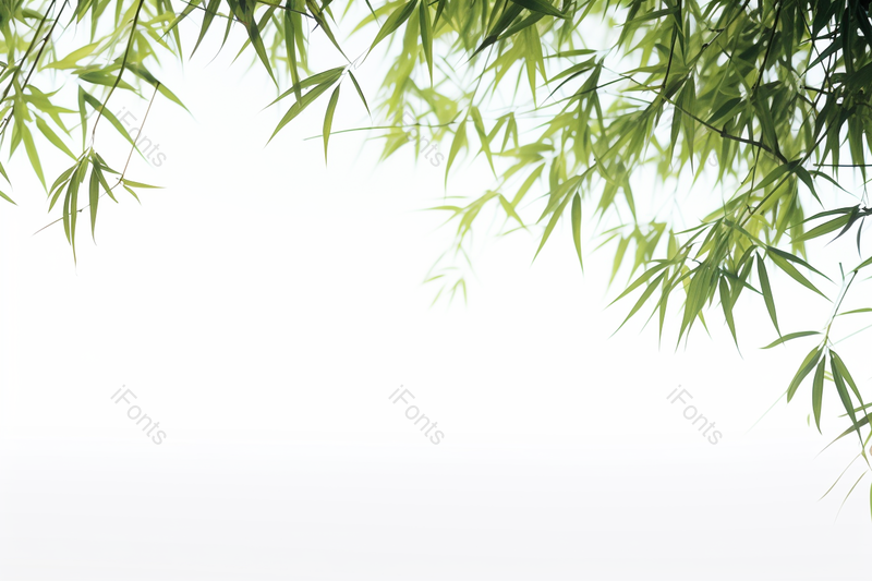 绿色文雅中国风元素竹子摄影图,高清,摄影图,摄影图片,图片大全,摄影图免费下载